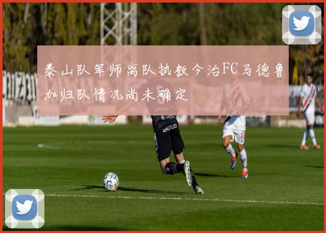 泰山队军师离队执教今治FC马德鲁加归队情况尚未确定