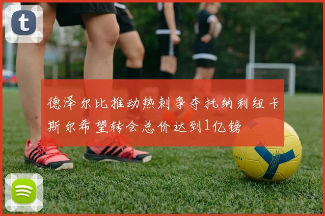 德泽尔比推动热刺争夺托纳利纽卡斯尔希望转会总价达到1亿镑